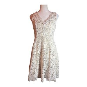Classic A Line Fit and Flare Dress Nude and White Lace